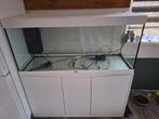 Aqualantis 240L, Dieren en Toebehoren, Vissen | Aquaria en Toebehoren, Ophalen of Verzenden, Zo goed als nieuw
