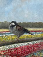 CH van Dijk, musje in bollenveld, Ophalen