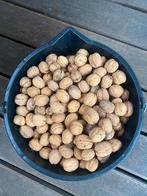 Biologische walnoten 2025, Ophalen