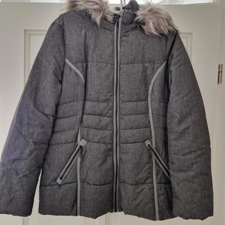 Grijze winterjas met bontkraag, Kleding | Dames, Jassen | Winter, Zo goed als nieuw, Maat 42/44 (L), Grijs, Ophalen of Verzenden
