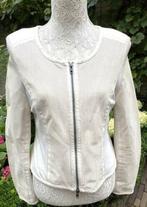 Lynde lederlook jasje maat 38 NIEUW, Maat 38/40 (M), Wit, Nieuw, Ophalen of Verzenden