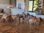 Schleich de prijs is per schleich paard, Ophalen of Verzenden, Zo goed als nieuw, Paard, Beeldje of Figuurtje