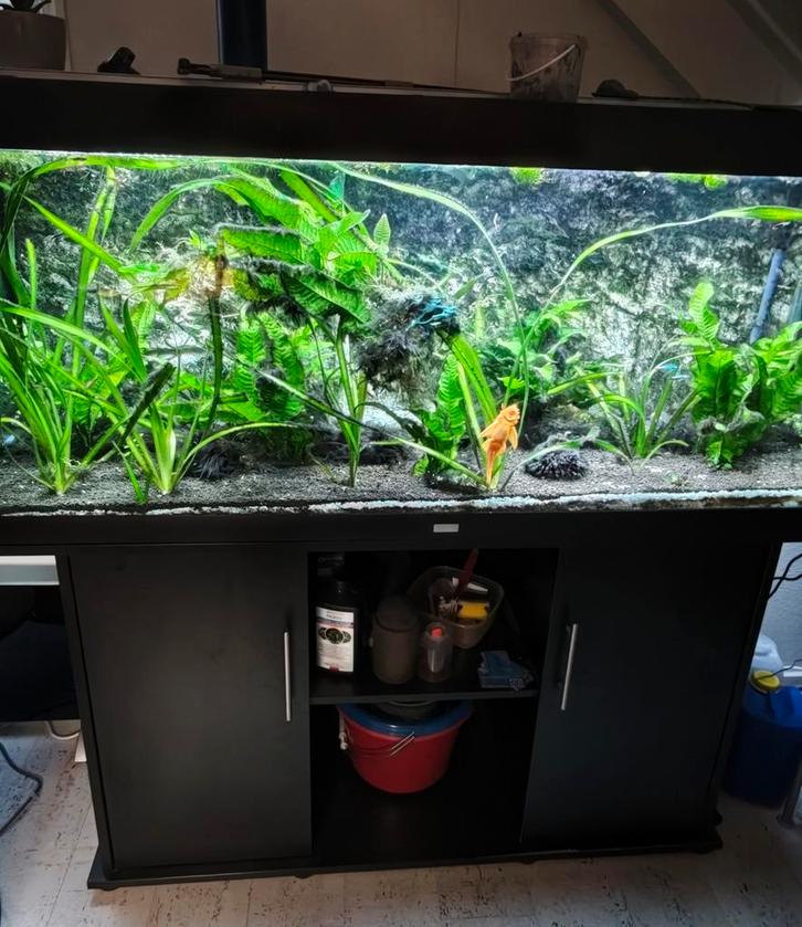 Juwel aquarium 150x50x67, kast,ledverlichting met controller, Dieren en Toebehoren, Vissen | Aquaria en Toebehoren, Gebruikt, Leeg aquarium