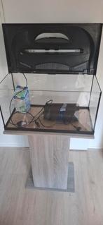 Aquarium Tetra Starter Line 54L + onderkast, Dieren en Toebehoren, Ophalen, Zo goed als nieuw, Leeg aquarium