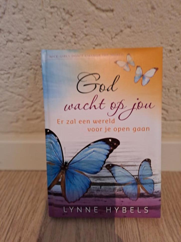 L. Hybels - God wacht op jou, Boeken, Godsdienst en Theologie, Zo goed als nieuw, Christendom | Katholiek, Christendom | Protestants