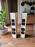 Aura Pied Piper  active Super MK3, Gebruikt, 120 watt of meer, Front, Rear of Stereo speakers, Ophalen