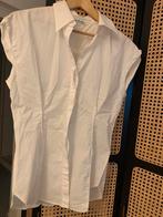 Acne Studio blouse //Prachtig/36, Ophalen, Zo goed als nieuw, Maat 36 (S)