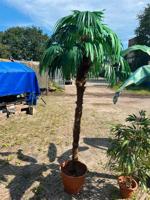 Diverse zijden kunstplanten - bananenboom / palm / orchidee, Huis en Inrichting, Woonaccessoires | Kunstplanten en Kunstbloemen
