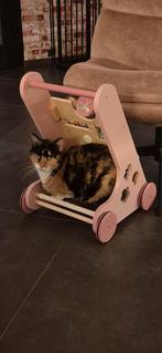 Liefdevol huisje gezocht, Dieren en Toebehoren, Katten en Kittens | Overige Katten, Poes, Kortharig, 6 jaar of ouder