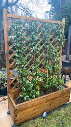 Houten plantenbak met klimrek 120bx170h, Tuin en Terras, Bloembakken en Plantenbakken, Ophalen, Zo goed als nieuw, Rechthoekig