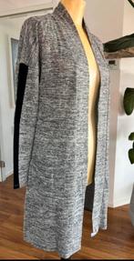 Mooi lang grijs vest van Follie di Garbo mt L, Ophalen of Verzenden, Zo goed als nieuw, Maat 42/44 (L), Grijs