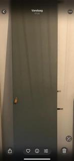 Ikea Pax kastdeur Reinsvoll  groen grijs 229x 50 cm, Huis en Inrichting, 200 cm of meer, Zo goed als nieuw, 50 tot 100 cm, Ophalen of Verzenden