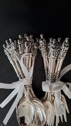 gevraagd, Ophalen of Verzenden, Zilver