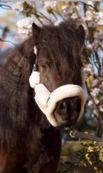 Zo goed als nieuw Shetlander halster met bont, Ophalen of Verzenden, Zo goed als nieuw, Overige soorten