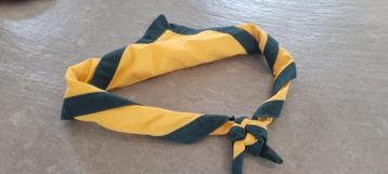 Groepsdas scouting beschikbaar voor biedingen