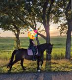 Merrie te koop., Dieren en Toebehoren, Paarden, Merrie, Gechipt, M, 11 jaar of ouder
