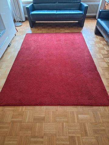 Rood IKEA Adum Kleed - 170x240cm beschikbaar voor biedingen