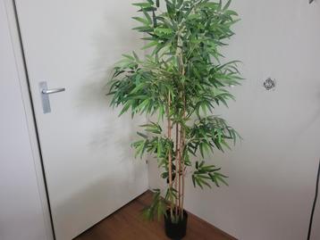 kunstplant kunstboom bamboo ophalen Amsterdam Zuid Oost beschikbaar voor biedingen