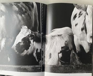 Willem Diepraam  gesigneerd beschikbaar voor biedingen