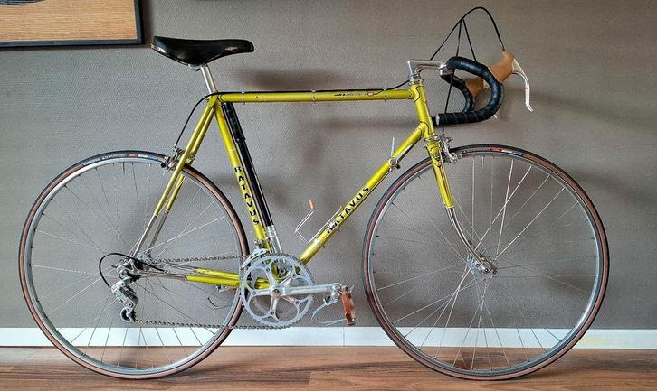 batavus professional 1973, Fietsen en Brommers, Fietsen | Racefietsen, Gebruikt, Batavus, 10 tot 15 versnellingen, Staal, 57 tot 61 cm