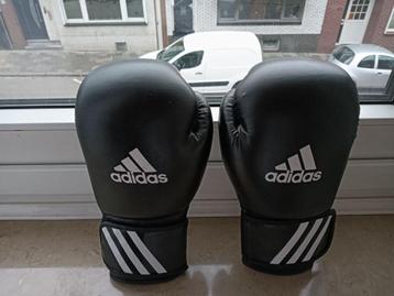 Adidas bokshandschoenen beschikbaar voor biedingen
