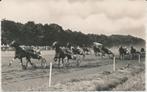 646B Wassenaar, Duindigt, paardensport, 1960, draf-, renbaan, Ophalen of Verzenden, 1940 tot 1960, Ongelopen, Zuid-Holland