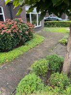 Gebruikte Klinkers voor Tuin of Oprit, Ophalen, Gebruikt, Klinkers, 5 tot 10 m²