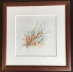 Aquarel van Mattie de Bruine…..duindoorn in de herfst., Ophalen