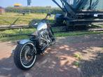 Harley Davidson Flstc, Particulier, Overig