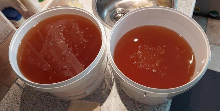 Nederlandse Lindehoning en Zomerhoning  in emmers, Dieren en Toebehoren, Insecten en Spinnen, Bijen