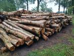 Stamhout beuk, 6 m³ of meer, Ophalen, Beukenhout, Stammen