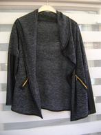 Grijs vest maat S, Ophalen of Verzenden, Gedragen, Maat 38/40 (M), Grijs