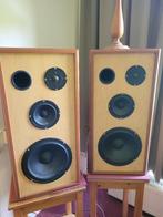Set prachtige speakerboxen opgebouwd met Peerless speakers, Gebruikt, 60 tot 120 watt, Front, Rear of Stereo speakers, Ophalen