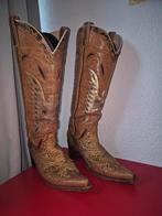 Sendra laarzen, python, maat 38, Kleding | Dames, Schoenen, Ophalen, Bruin, Zo goed als nieuw, Hoge laarzen