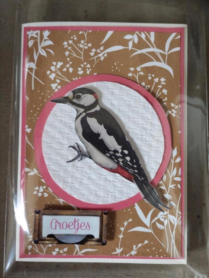 Kaart 'Groetjes' met Specht, Hobby en Vrije tijd, Kaarten | Zelfgemaakt, Nieuw, Dieren, Ophalen