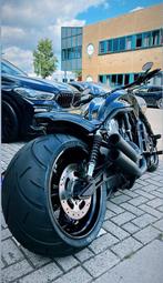 Prachtige onderhoudsvrij showmotor Harley Davidson Vrod, Motoren, Motoren | Harley-Davidson, Particulier, Chopper