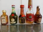 5 miniatuur drankflesjes likeur, Ophalen of Verzenden, Nieuw