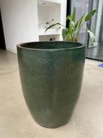 Grote keramieken Bloempot Plantenpot Pot Mosgroen 70H / 55ø, Ophalen, Halfschaduw, Minder dan 100 cm