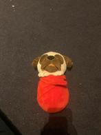 Schattige hond in een deken knuffel, Ophalen, Zo goed als nieuw, Hond