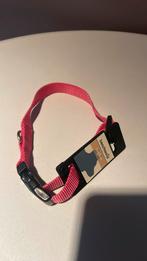 Roze Beeztees halsband hond 35-50 cm, Dieren en Toebehoren, Hondenhalsbanden en Penningen, Ophalen of Verzenden, Zo goed als nieuw