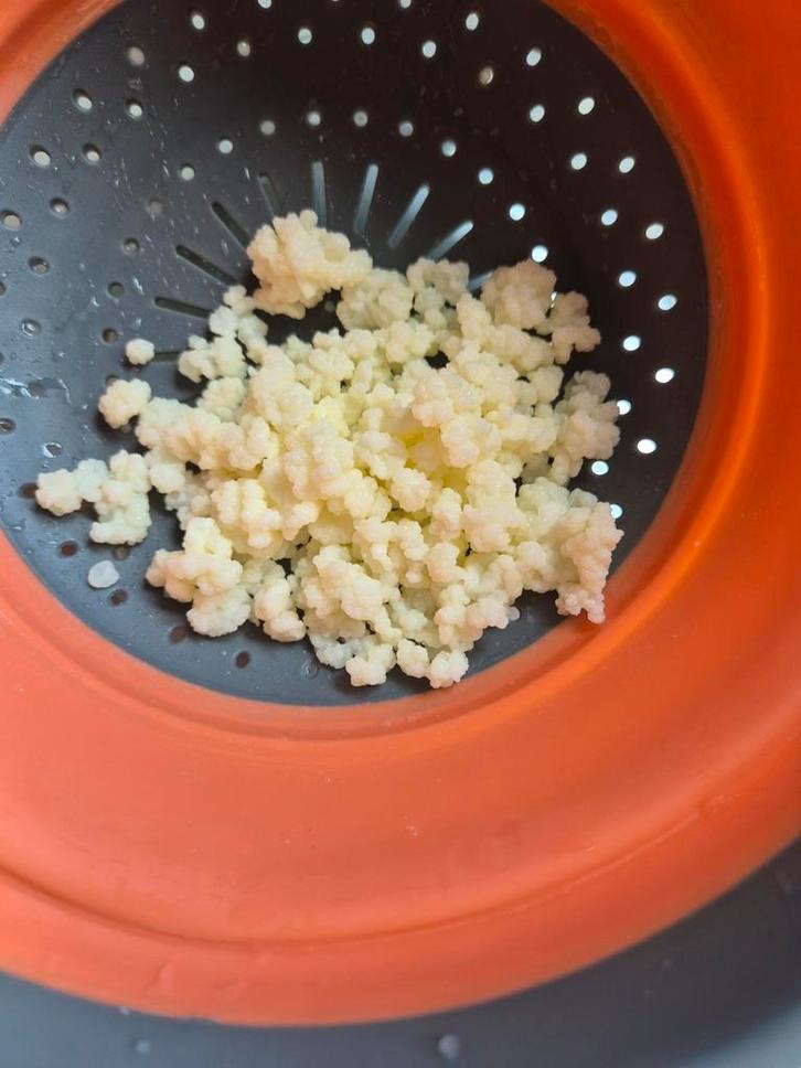 Melkkefir, probiotische kracht!, Diversen, Levensmiddelen, Ophalen