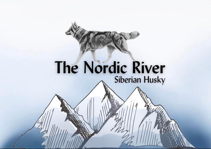 Siberische husky FCI stamboom, Dieren en Toebehoren, Honden | Poolhonden, Keeshonden en Oertypen, Meerdere dieren, Poolhond, Particulier