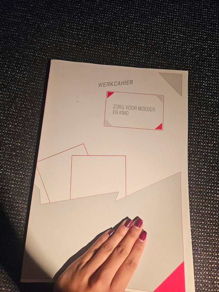 Werkcahier Zorg voor Moeder en Kind, Boeken, Zwangerschap en Opvoeding, Gelezen, Zwangerschap en Bevalling, Ophalen