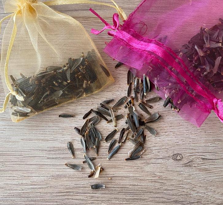 Dahlia zaden, Tuin en Terras, Bloembollen en Zaden, Zaad, Voorjaar, Volle zon, Ophalen of Verzenden