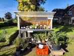 Kamer- & Tuinplanten te koop langs de weg!, Tuin en Terras, Planten | Tuinplanten, Ophalen, Overige soorten, Volle zon
