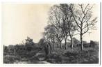 Hoenderloo Jeneverbessenbos Oude Ansichtkaart (B642 ), Ophalen of Verzenden, Ongelopen