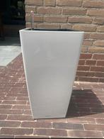 lechuza pot, Ophalen, Gebruikt, Rond, Kunststof