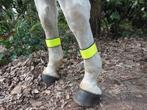 Reflectie beenbandjes, Dieren en Toebehoren, Paarden en Pony's | Beschermers, *, Verzenden, *, Nieuw