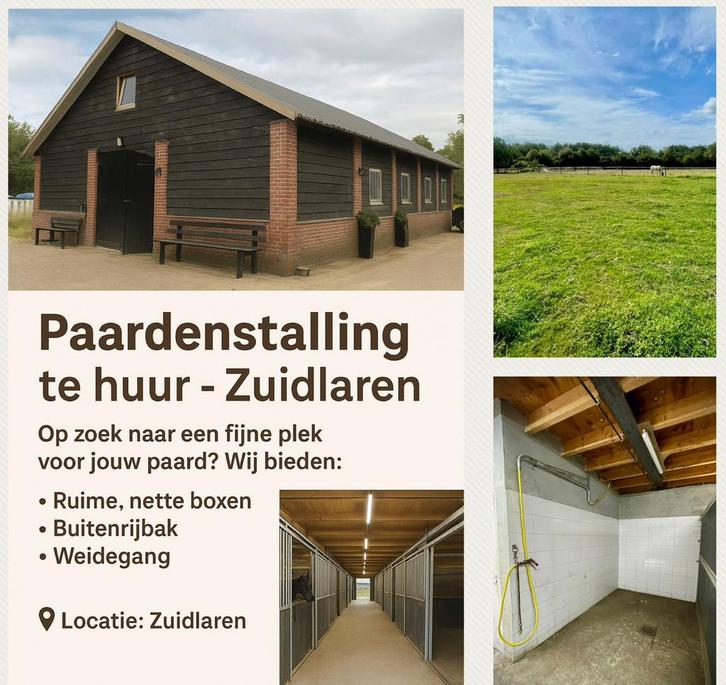 2 Stallen vrij op een mooie plek vlak bij het bos., Dieren en Toebehoren, Stalling en Weidegang, Stalling, Weidegang