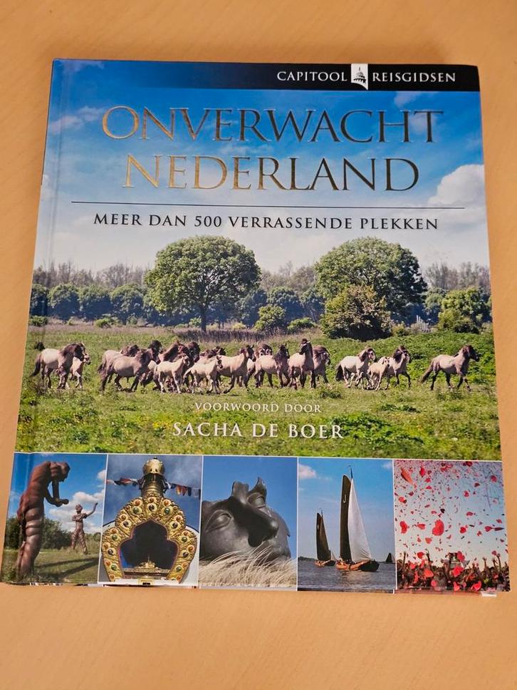 Capitool Reisgids Onverwacht Nederland, Boeken, Reisgidsen, Zo goed als nieuw, Reisgids of -boek, Ophalen of Verzenden